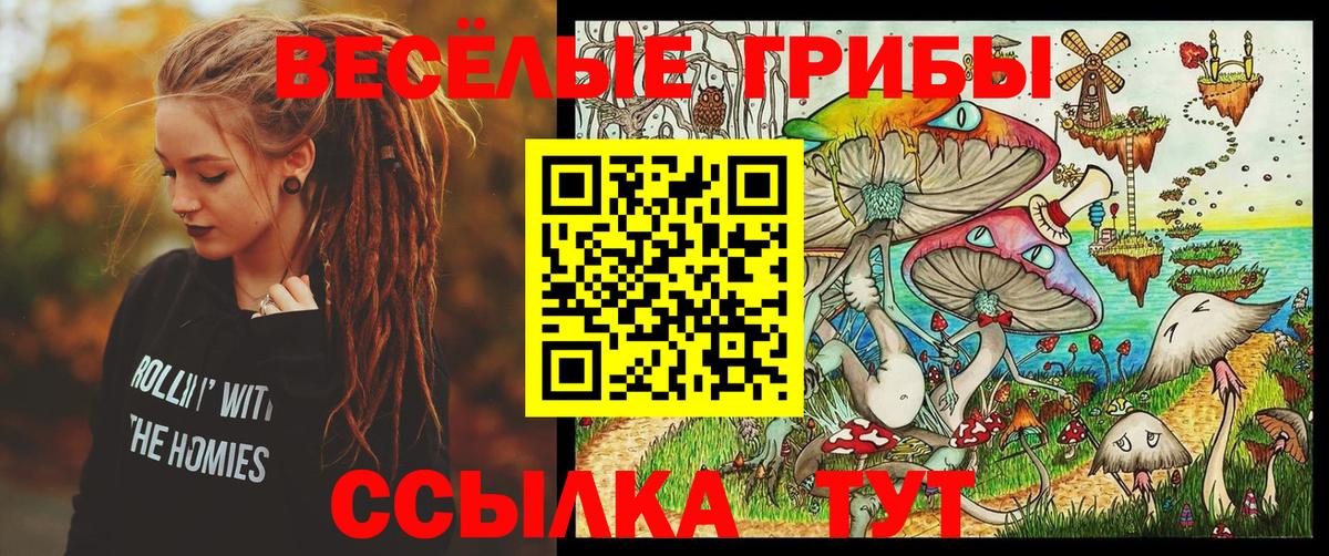 Псилоцибиновые грибы Psilocybe Пушкино