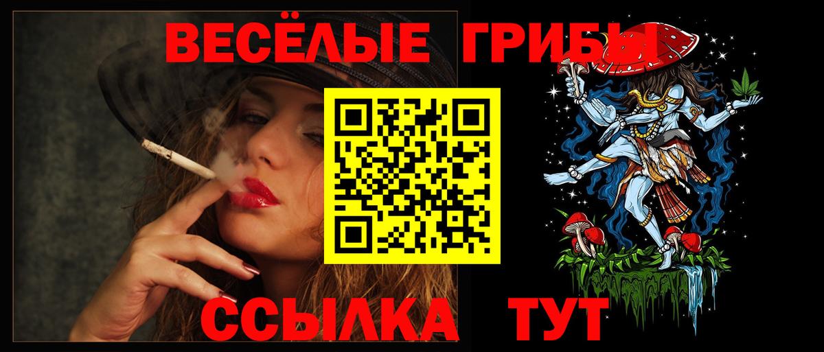 Псилоцибиновые грибы Psilocybe  Вход с VPN  Пушкино 